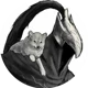 Artorias the Knight