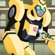 Bumblebee TFA