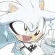 SILVER T HEDGEHOG 