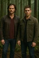 sam and dean