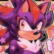 SHADOW T HEDGEHOG 