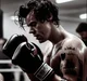 harry styles - boxer