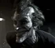 Arkham City Joker
