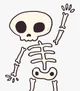 Skeleton