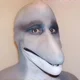 Dolphin man