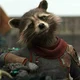 Rocket Raccoon 