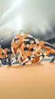 Karasuno High