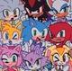 TEAM SONIC 