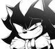 SHADOW T HEDGEHOG 