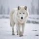White Wolf