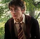 Harry - HP