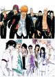 bleach hsw