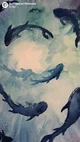 Percy Jackson 