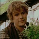 Samwise Gamgee