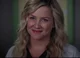 Arizona Robbins