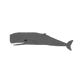 AU-Sperm Whale