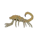 AU-Scorpion Monster1