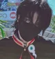 Levi Eclair