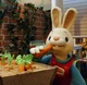 Harry the Bunny