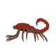 AU-Scorpion Monster2