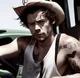 harry styles - cow