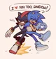 Sonic and Shadow 