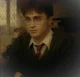 harry pott er