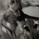 CERSEI