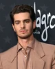 Andrew Garfield 