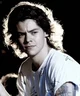harry styles - uni