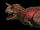 Carnotaurus