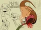 Yang -Primal-