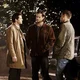 Team Free Will