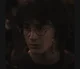 HARRY JAMES P
