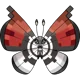 Pokeball Vivillon