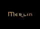 02 - MERLIN