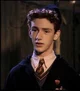 Percy Weasley