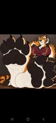 Tigress- paws