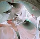 Xie Mei