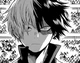 MHA Shoto Todoroki