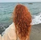 rachel dare