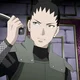 Shikamaru Nara