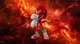 Knuckles The Echidna