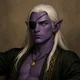 The Drow Rogue