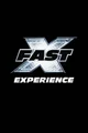 Fast x experience
