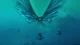 Mothra