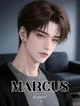 Marcus Everglow