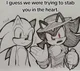 Shadow and Sonic VHD