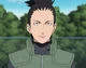 NAR-Shikamaru Nara
