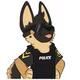 Police Furry